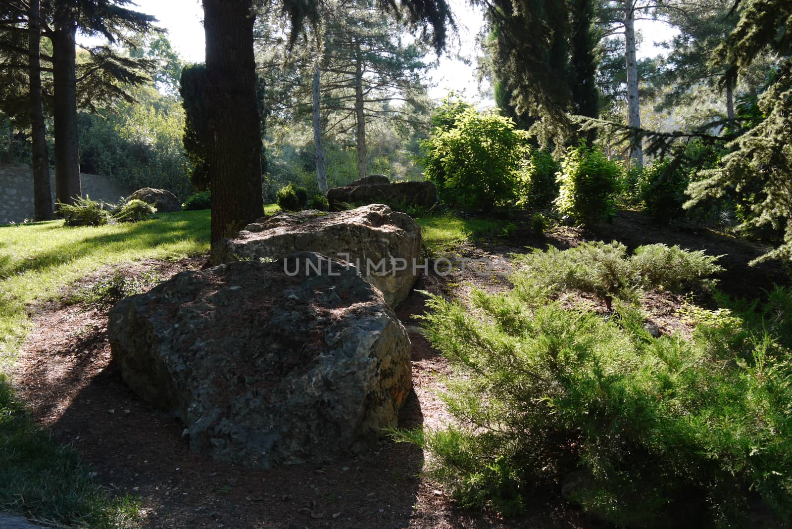 A picturesque glade in a park with large stones lying in the shade near a tall tree with the penetrating rays of the sun through its branches. by Adamchuk