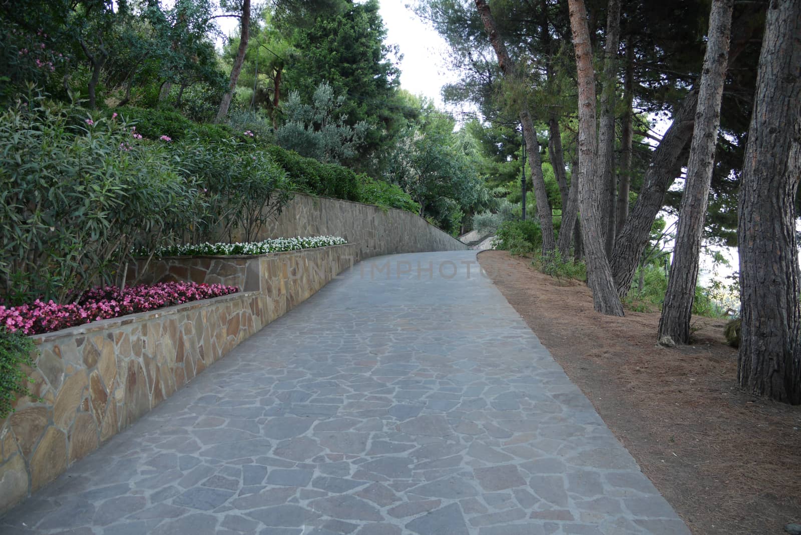 A stone walk alley with tall trees on one side and decorative flower beds on the other by Adamchuk