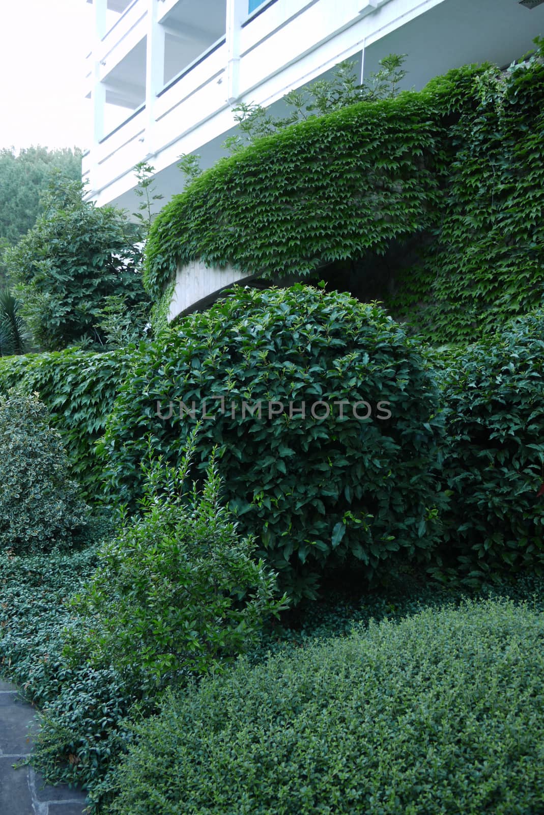 Gently trimmed green bushes against the white balcony of the sanatorium complex
