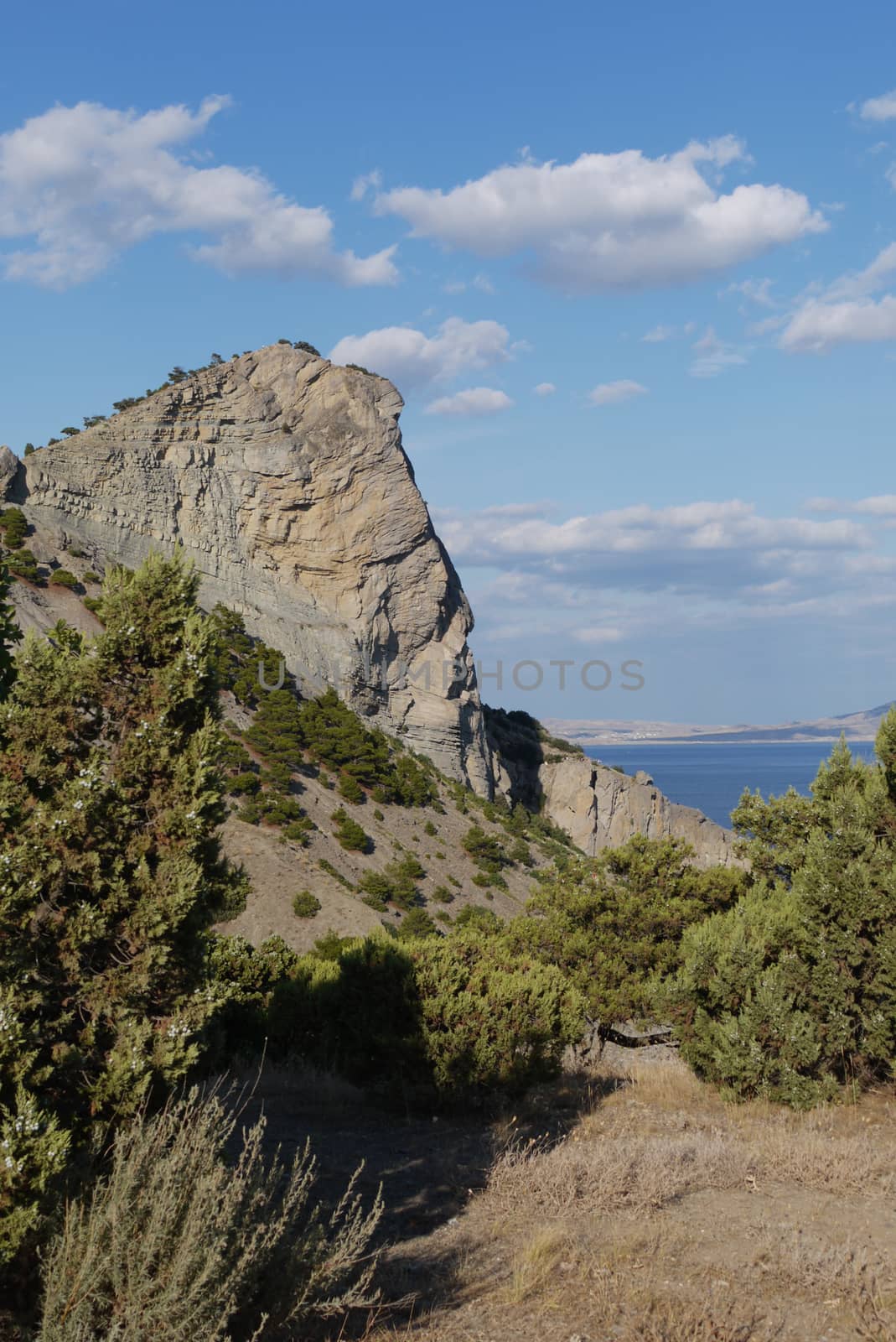 A beautiful view of the sea from behind a cliff on a hill with a rare grass and bushes. With a blue sky and white clouds floating into the distance beyond the horizon.
