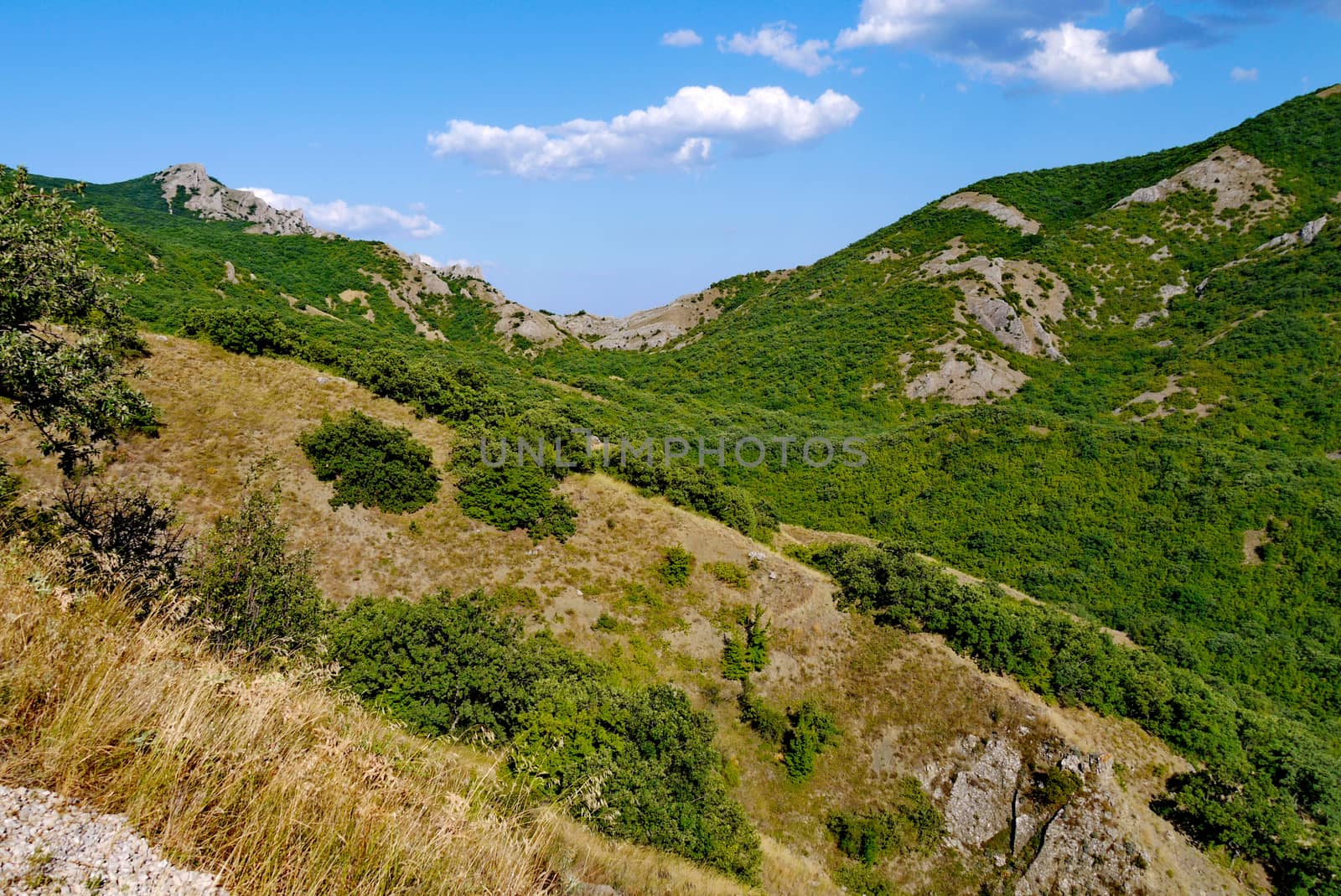 beautiful wide slopes covered with grass on the background of a blue sky by Adamchuk