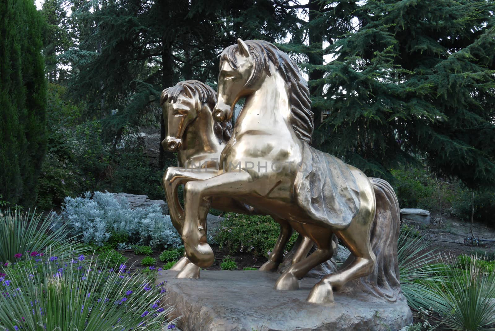 A pedestal depicting two golden smooth horses, against a background of a green park zone by Adamchuk