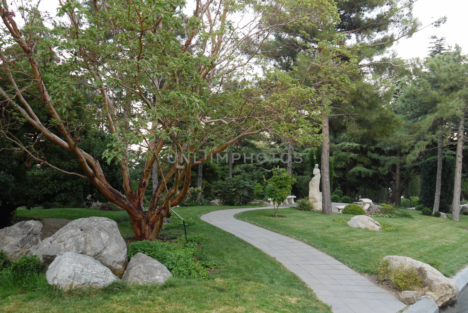 a green park with beautiful sculptures of sprawling trees and figured stones lying along the path