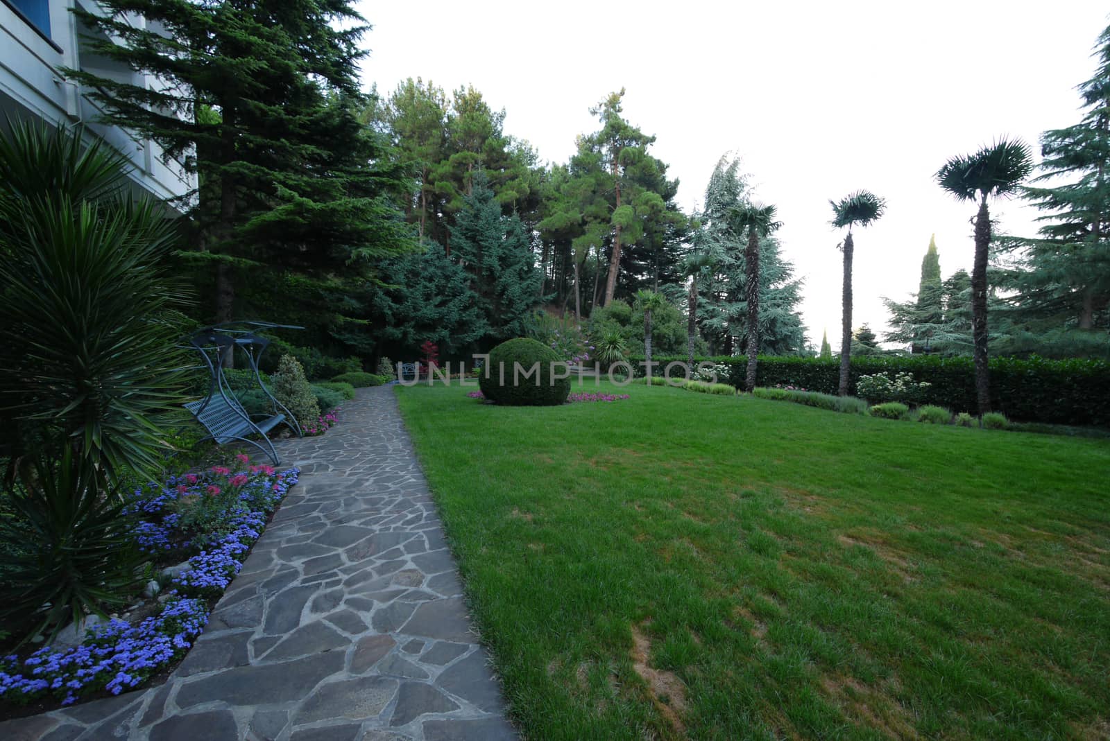 A park with a stone lined path is planted with various ornamental plants under the windows of the house.