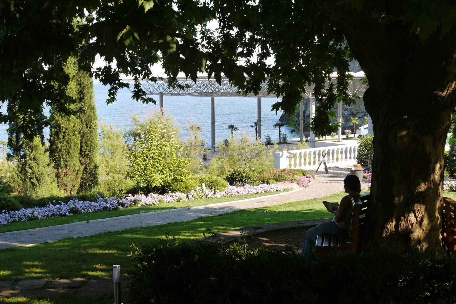 A picturesque view of the sea coast with a huge number of decorative green plants and flowers by Adamchuk