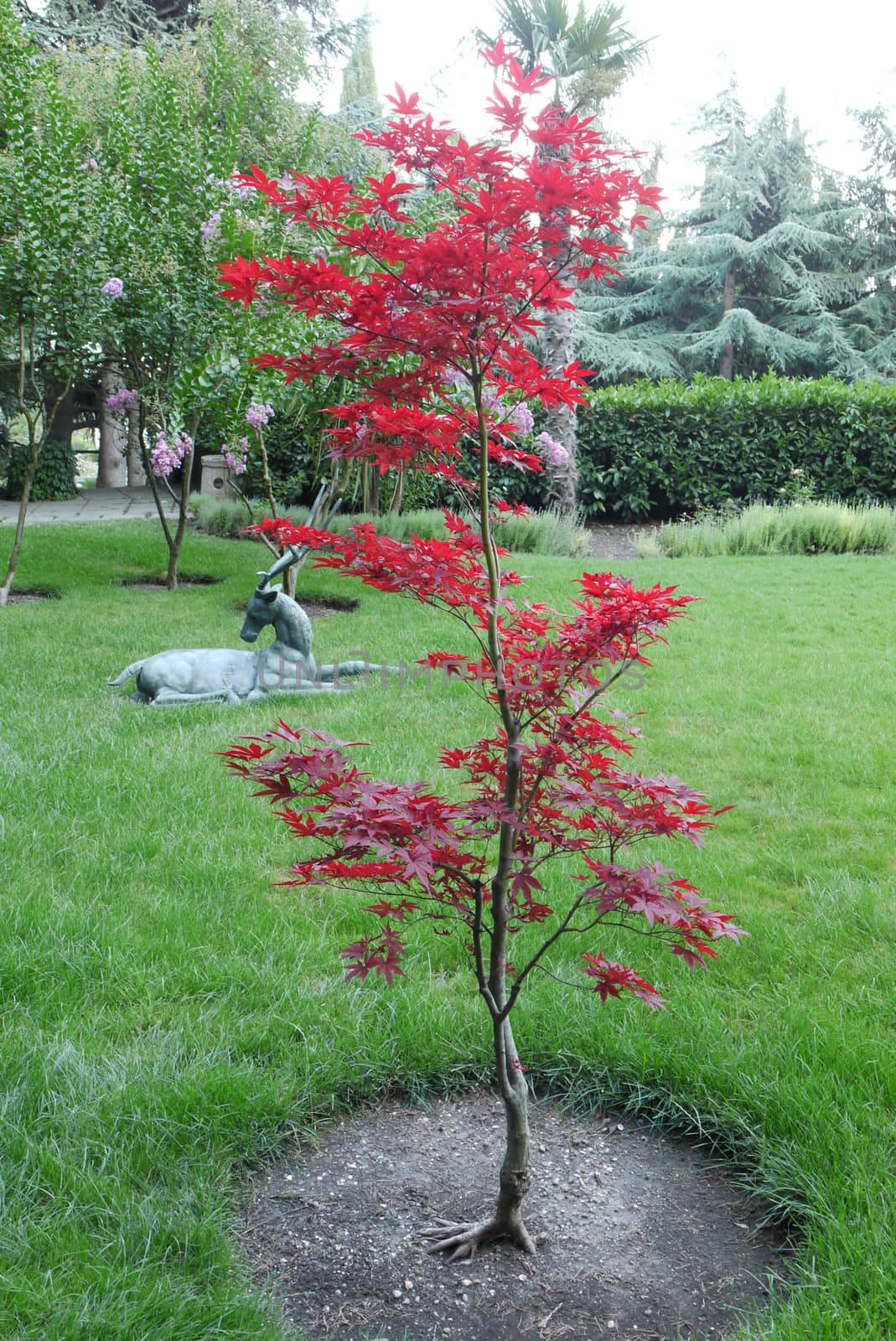 A beautiful landscape in a park with a green lawn sculpting a de by Adamchuk