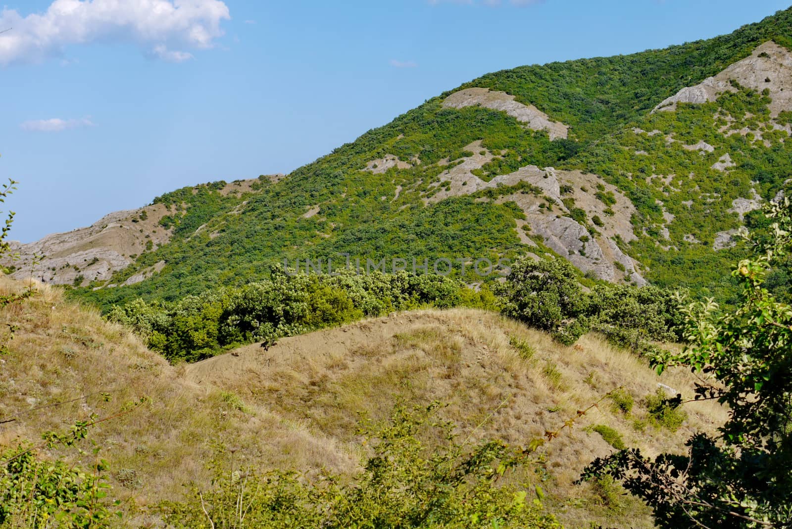 high steep grass-covered slope on the blue sky background by Adamchuk