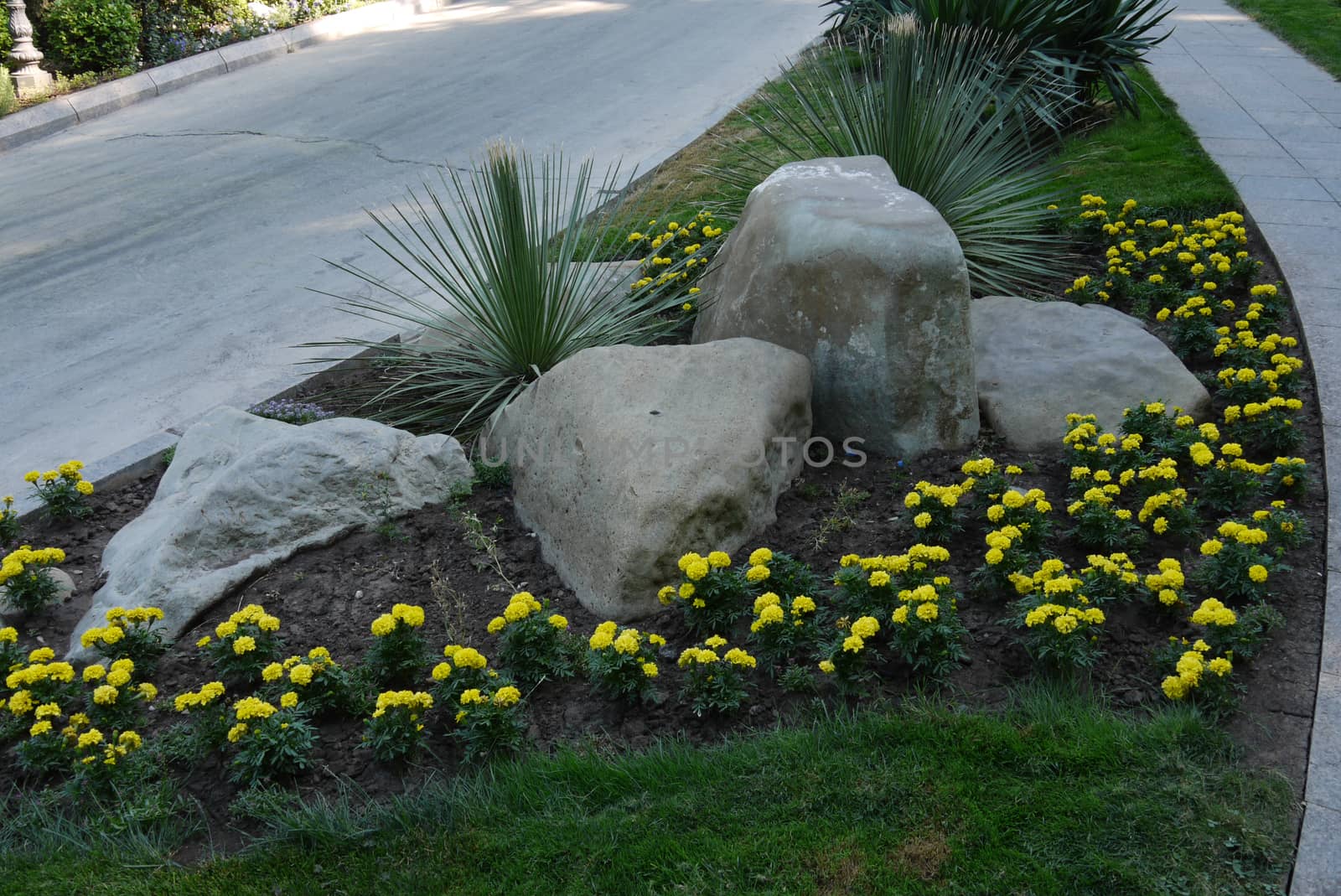 The stones lying in a flower bed with beautiful yellow flowers growing around them with walkways on either side of them. by Adamchuk