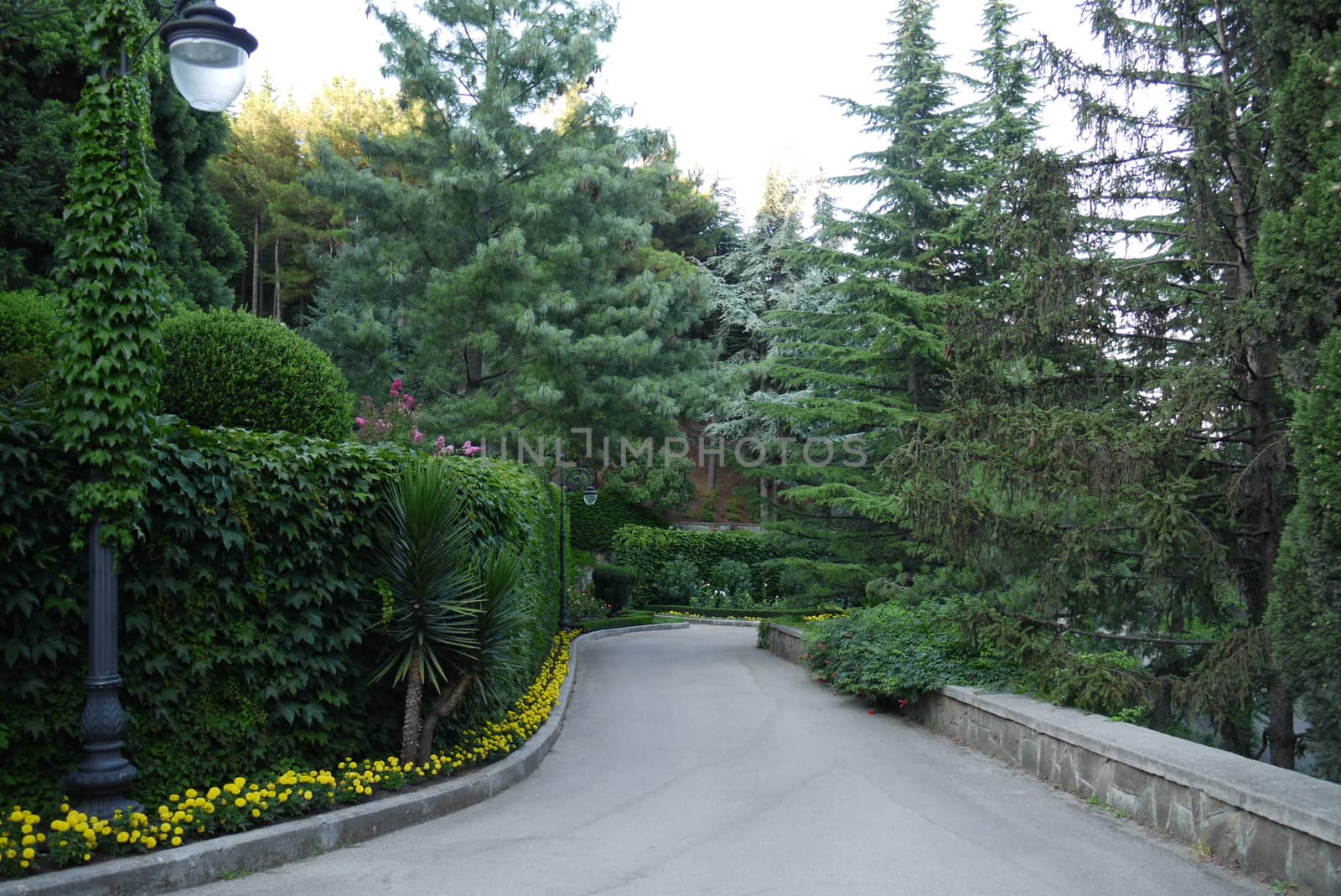 A pillar with a lantern flanked by green shoots of plants standing near the path in a park with yellow flowers wriggling along with a curb contour. by Adamchuk