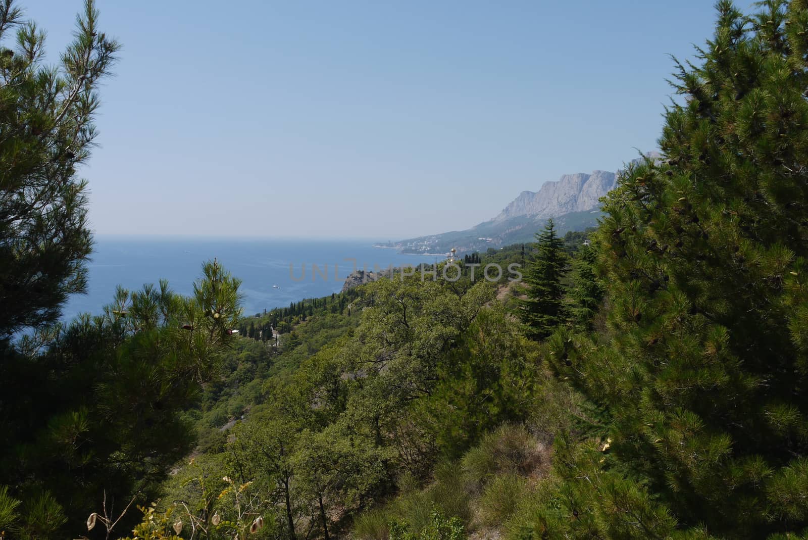 grass slopes on the background of high steep cliffs and the boundless black sea by Adamchuk