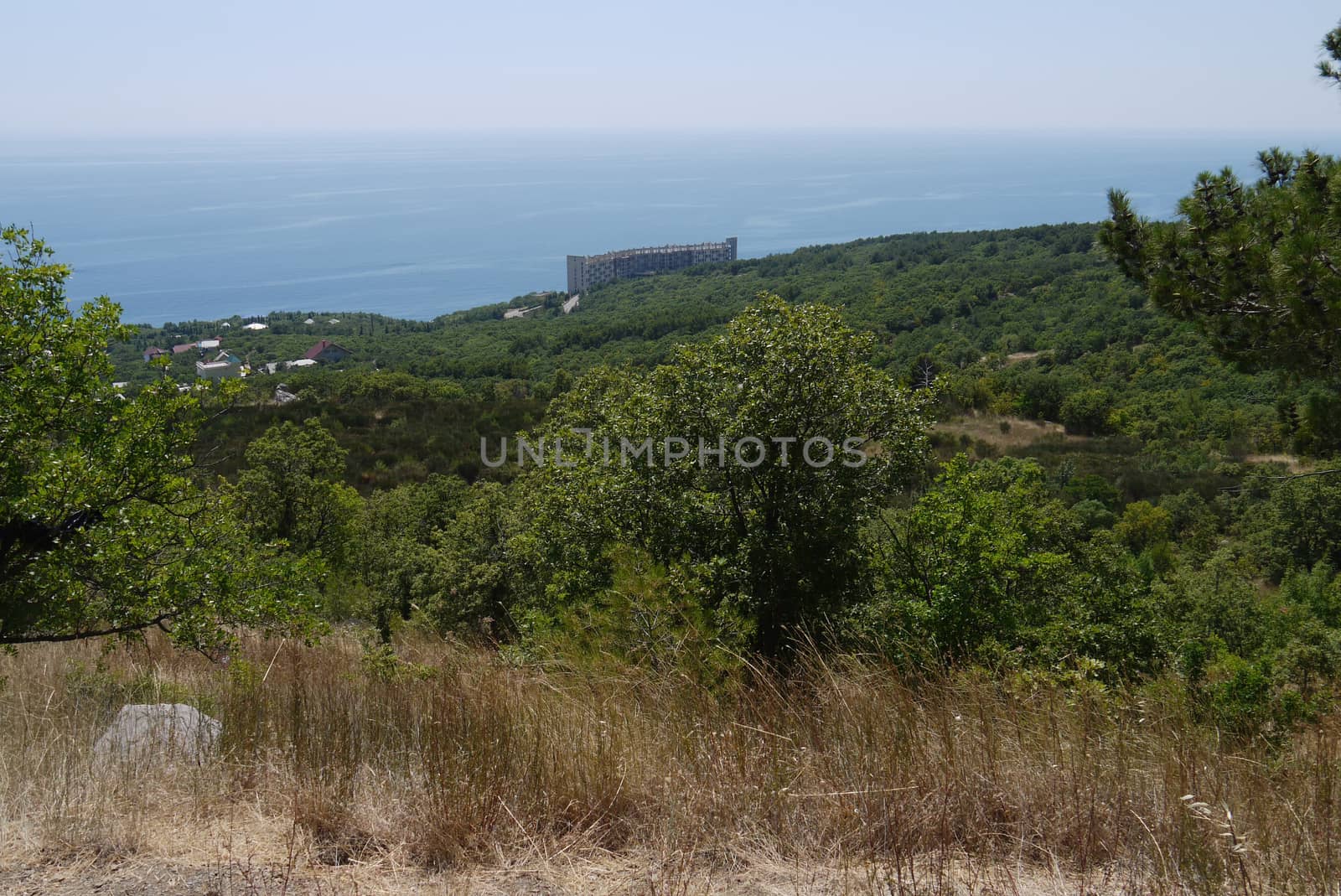 grass slopes on the background of high steep cliffs and the boundless black sea by Adamchuk