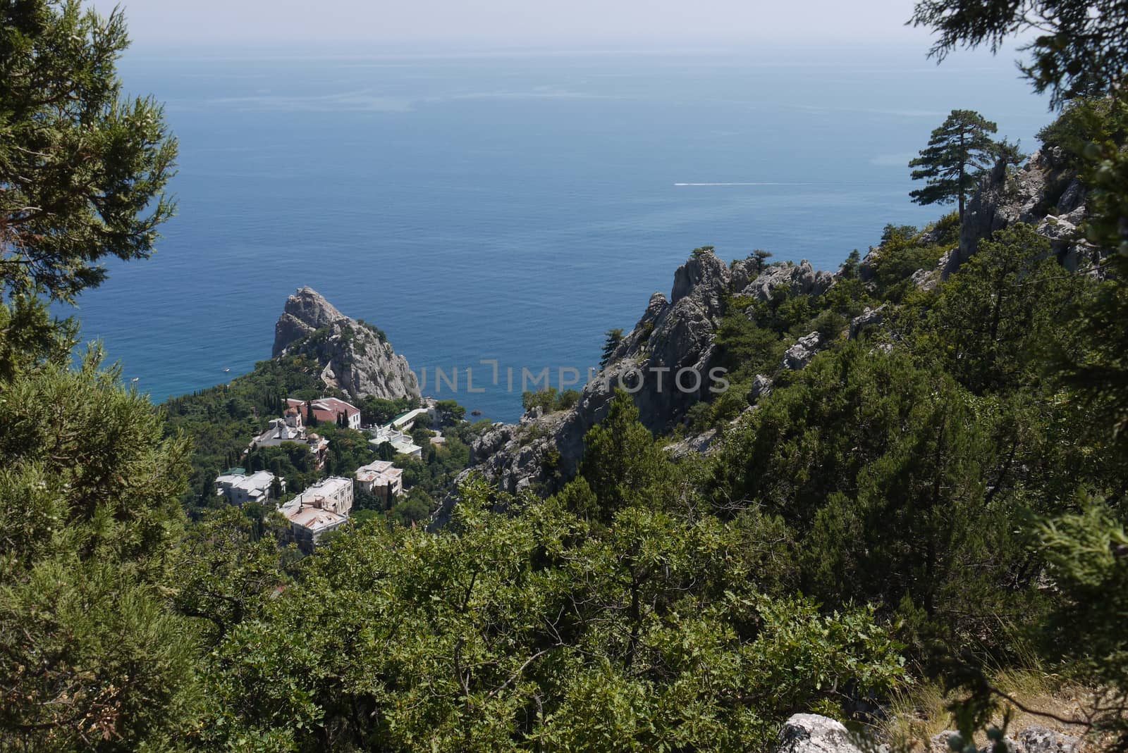 small green trees on the background of the boundless Black Sea and steep cliffs