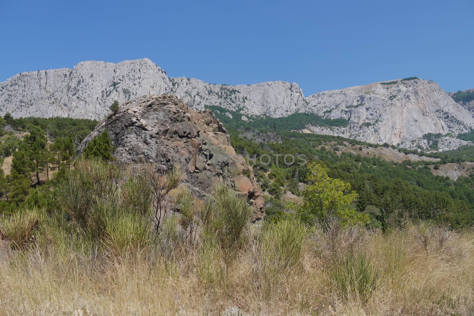 Large wide rock surrounded by bushes on the background of high steep mountains