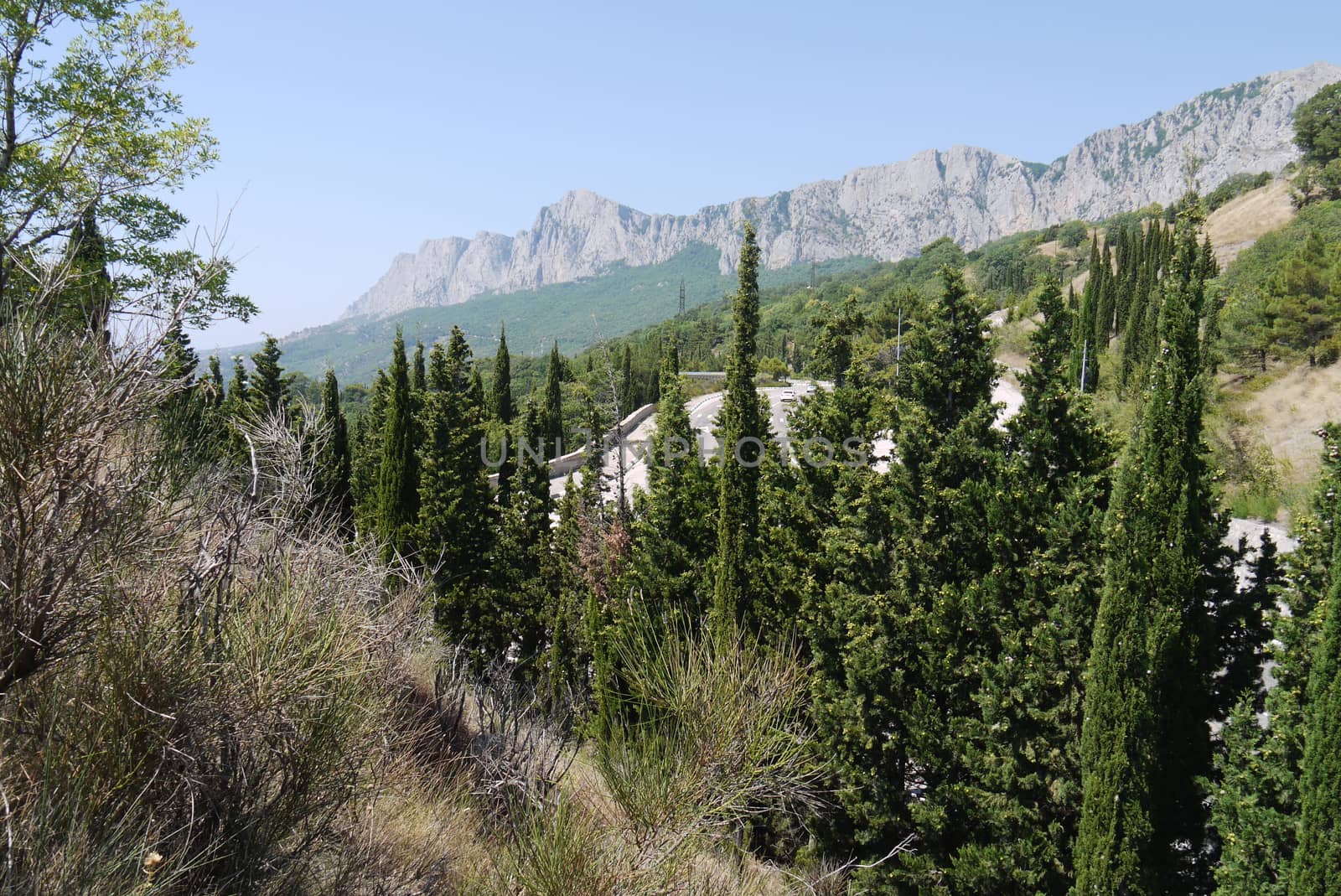 the road is twisted on the background of the steep cliffs surrounded by dense forest