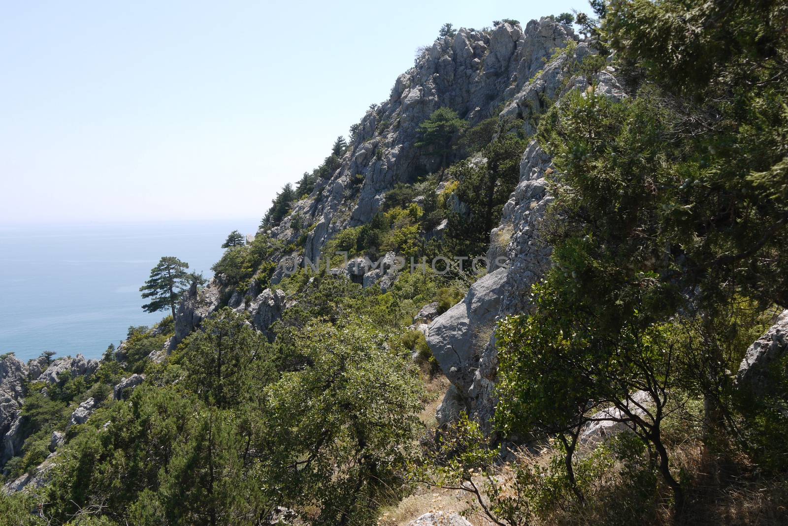 steep cliffs covered with grass on the background of the great sea