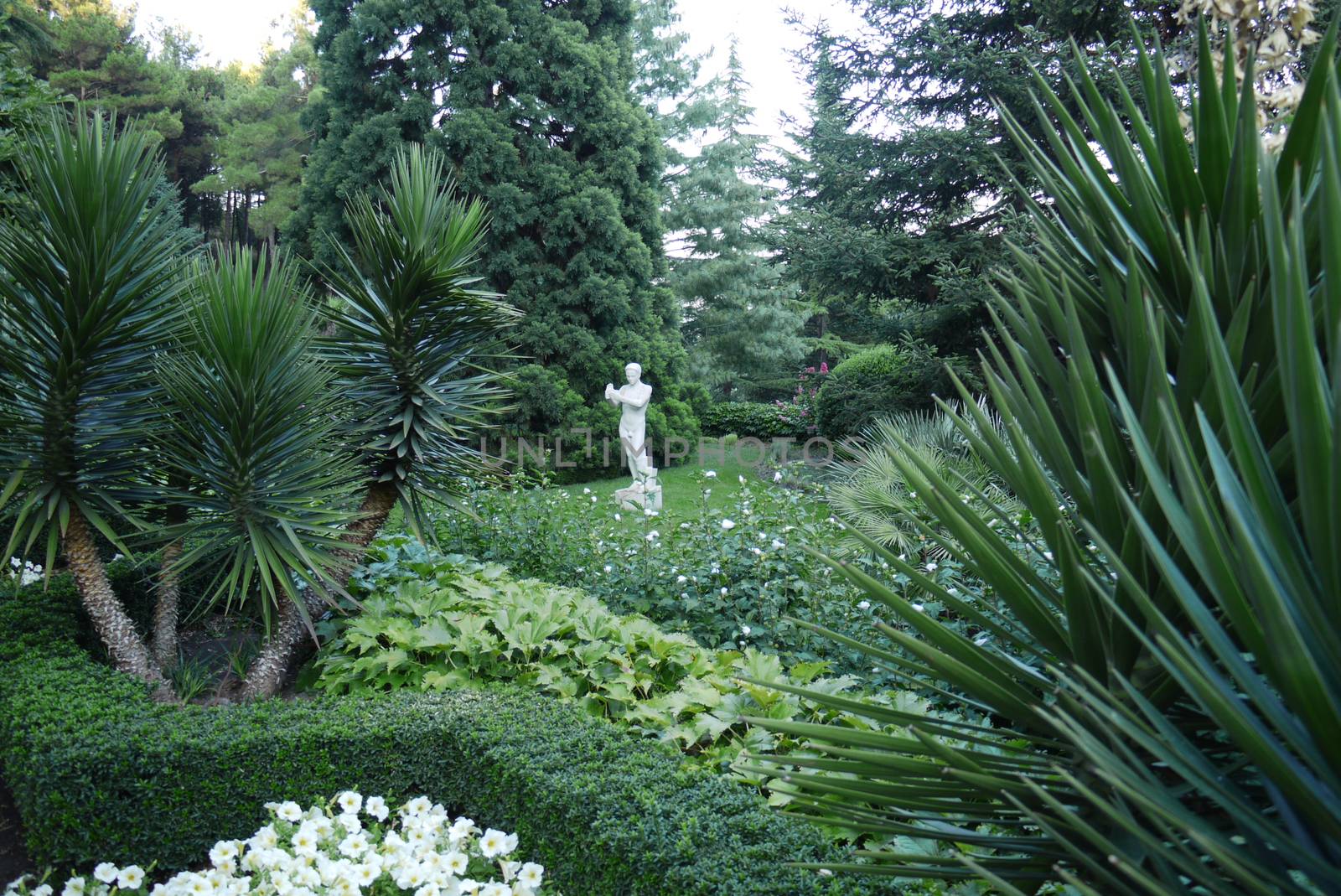 Beautiful gentle flowers in the park growing amidst lush greenery and tall trees with a statue of gypsum standing next to a green lawn. by Adamchuk