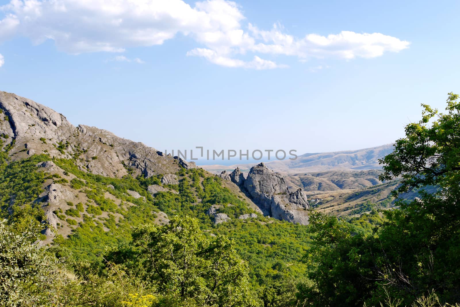 steep grassy slopes on the background of high endless mountains covered with trees by Adamchuk