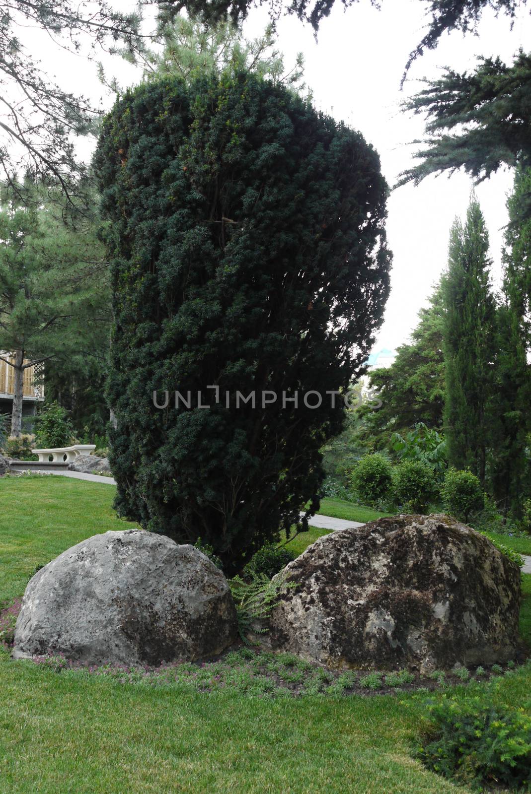 Rectangular bush and two large stones at the bottom. Probably the designer of them so placed not without a sense of humor