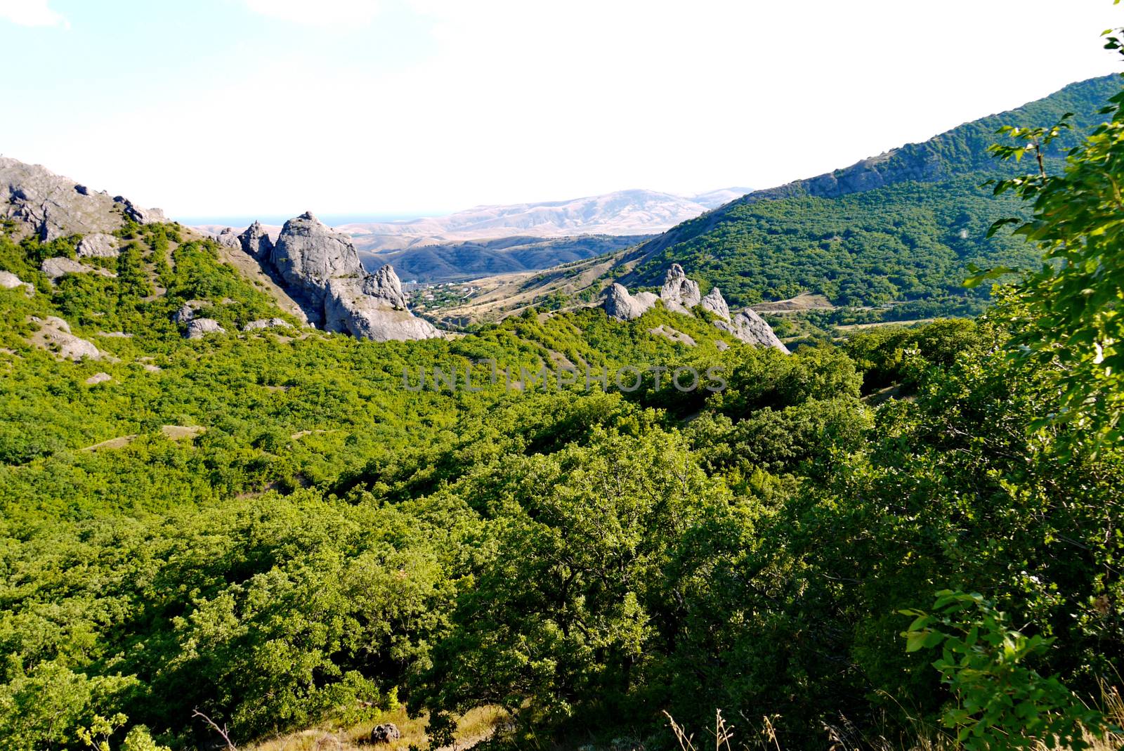 wide green bushes on the background of grass-covered mountains under the blue sky