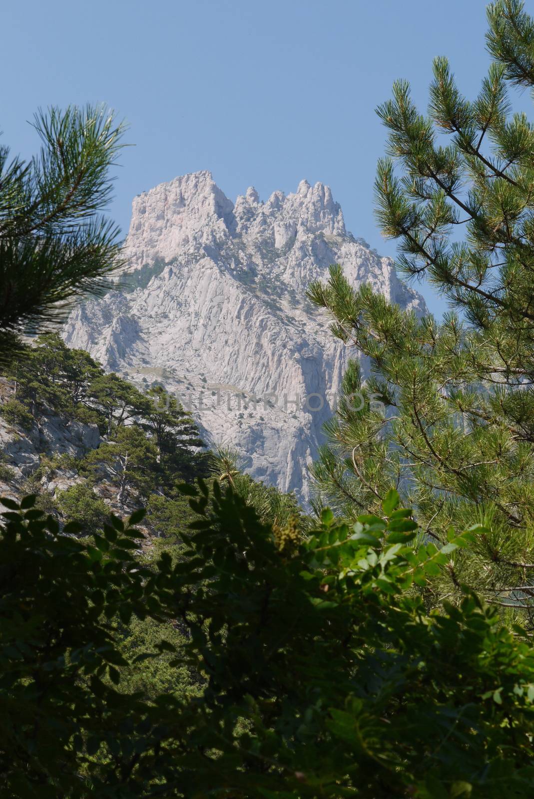 high steep mountains hiding behind the leaves of lush trees by Adamchuk