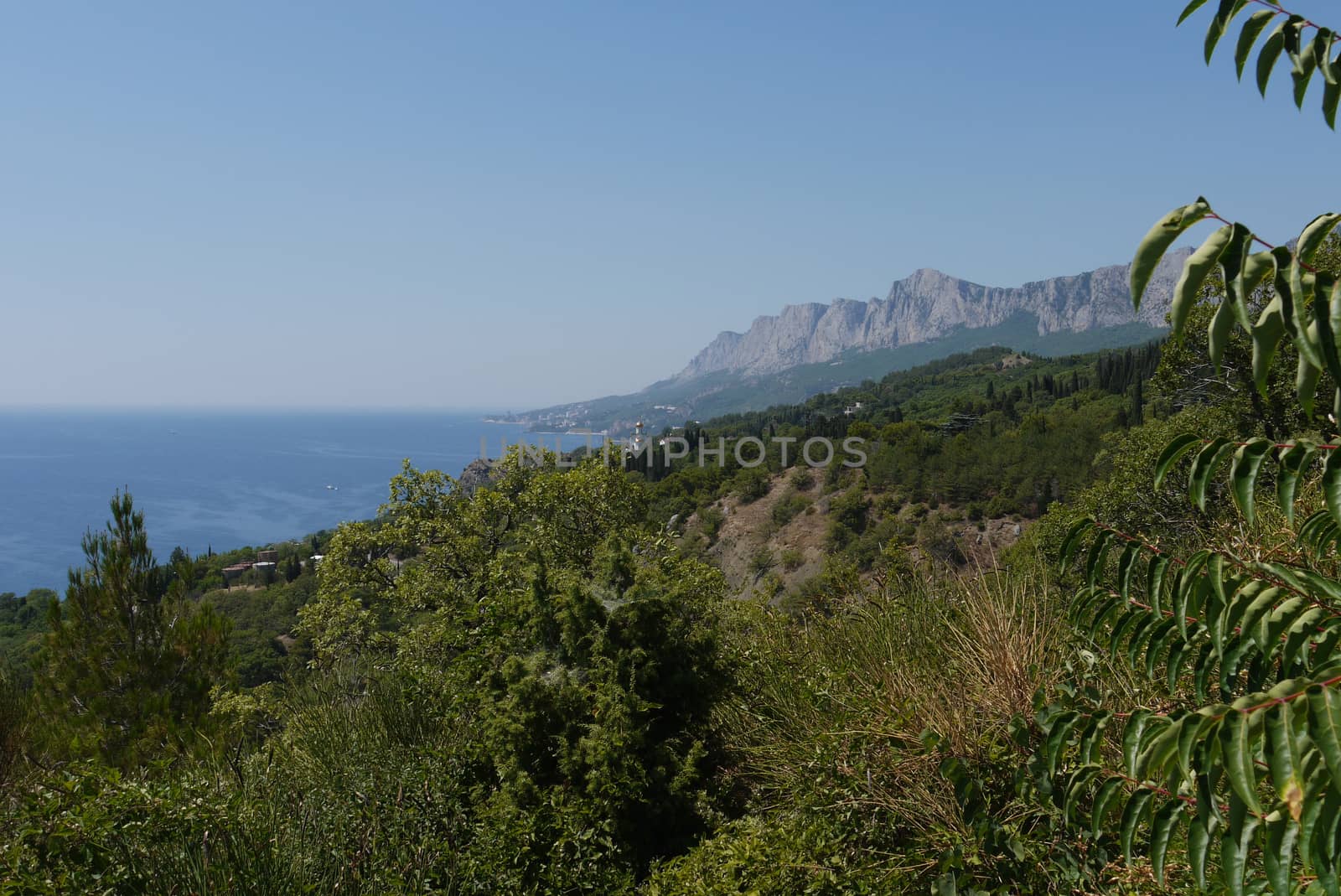 grass slopes on the background of high steep cliffs and the boundless black sea by Adamchuk