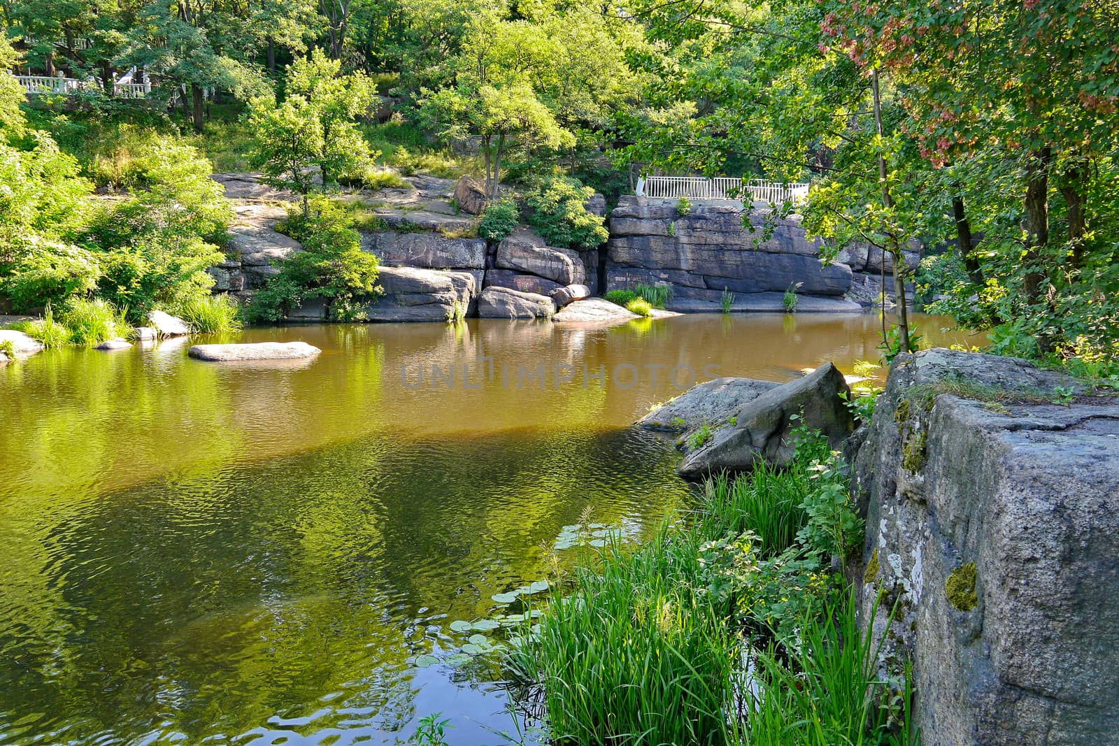 wide rocky river surrounded by beautiful tall trees by Adamchuk