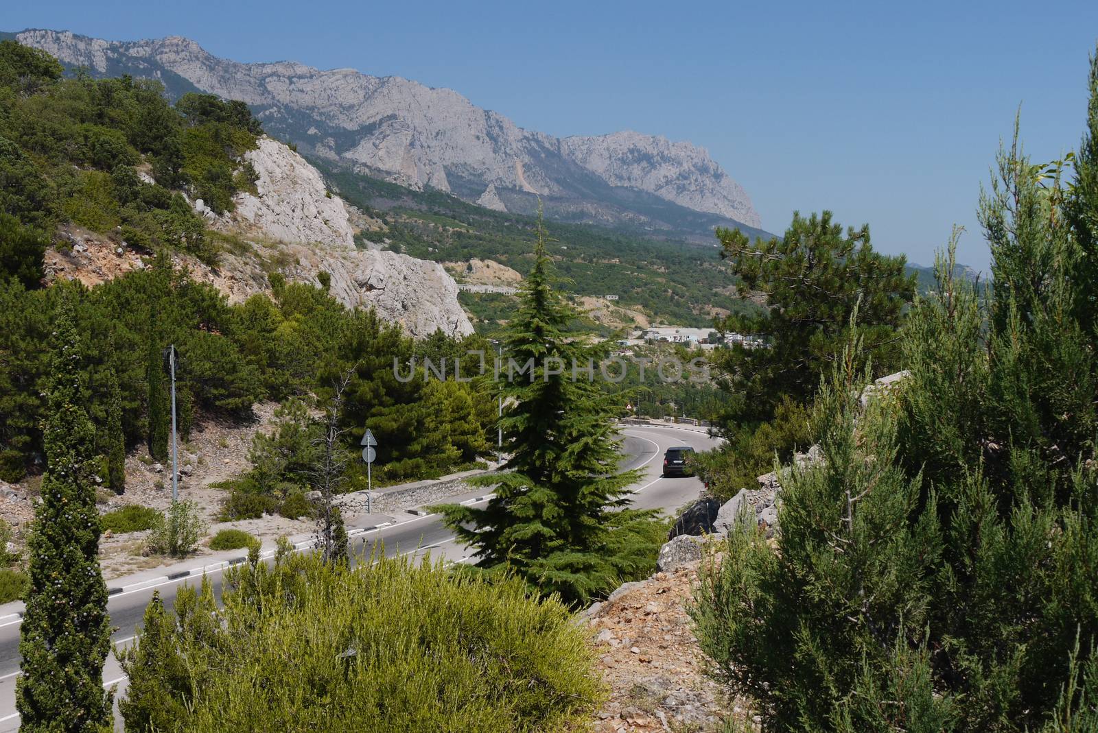 the road is twisted in the middle of the great mountains covered with trees on the background of a blue sky