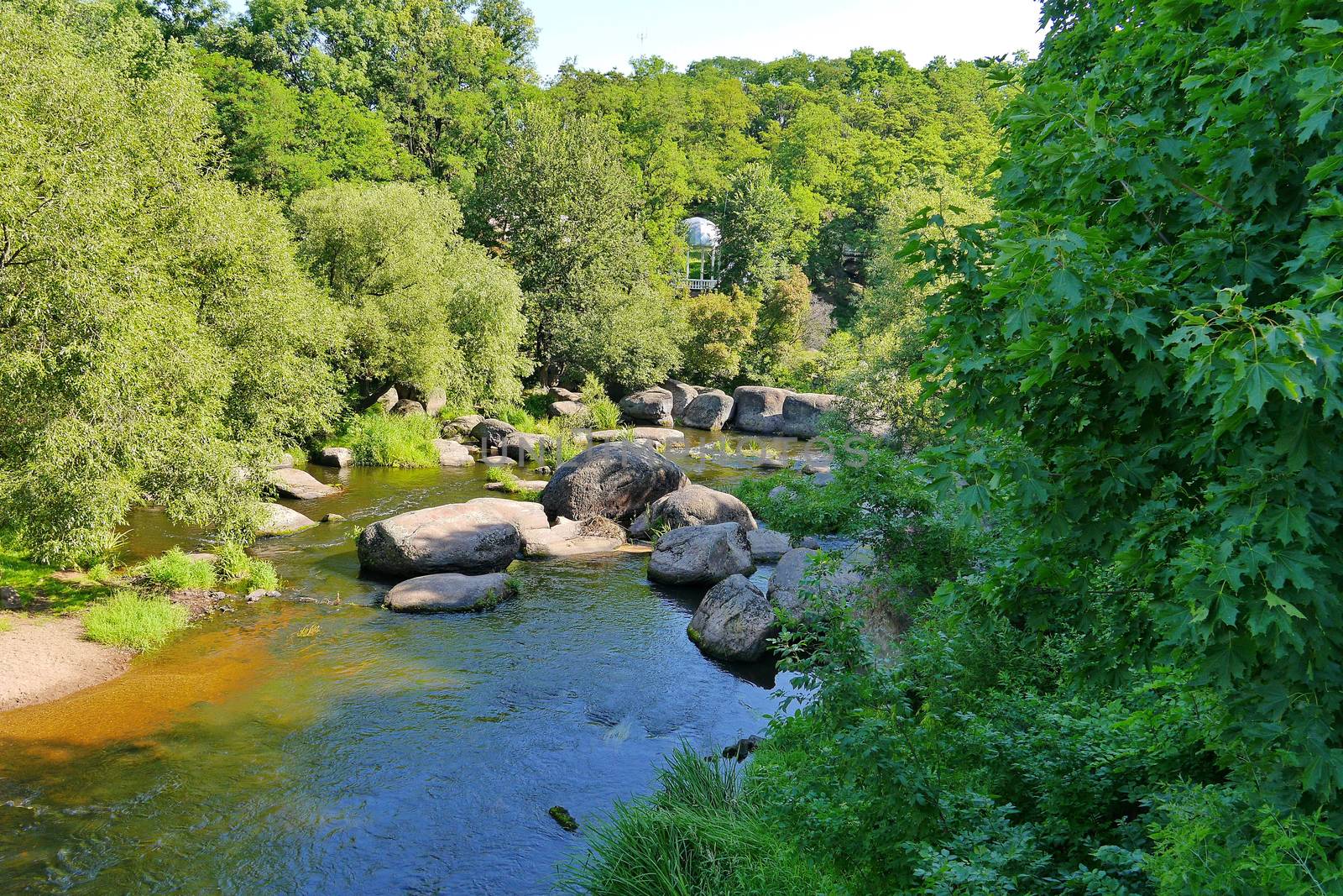 wide rocky river surrounded by beautiful tall trees by Adamchuk