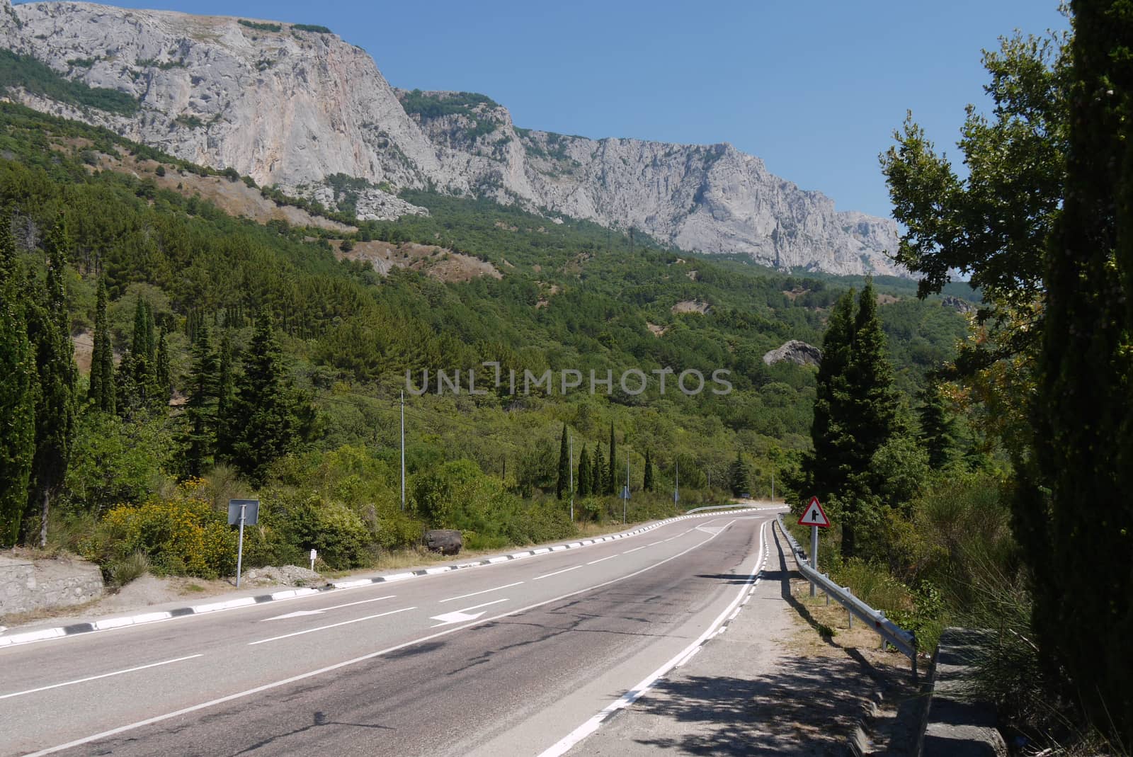 long road against the background of huge mountains surrounded by trees by Adamchuk