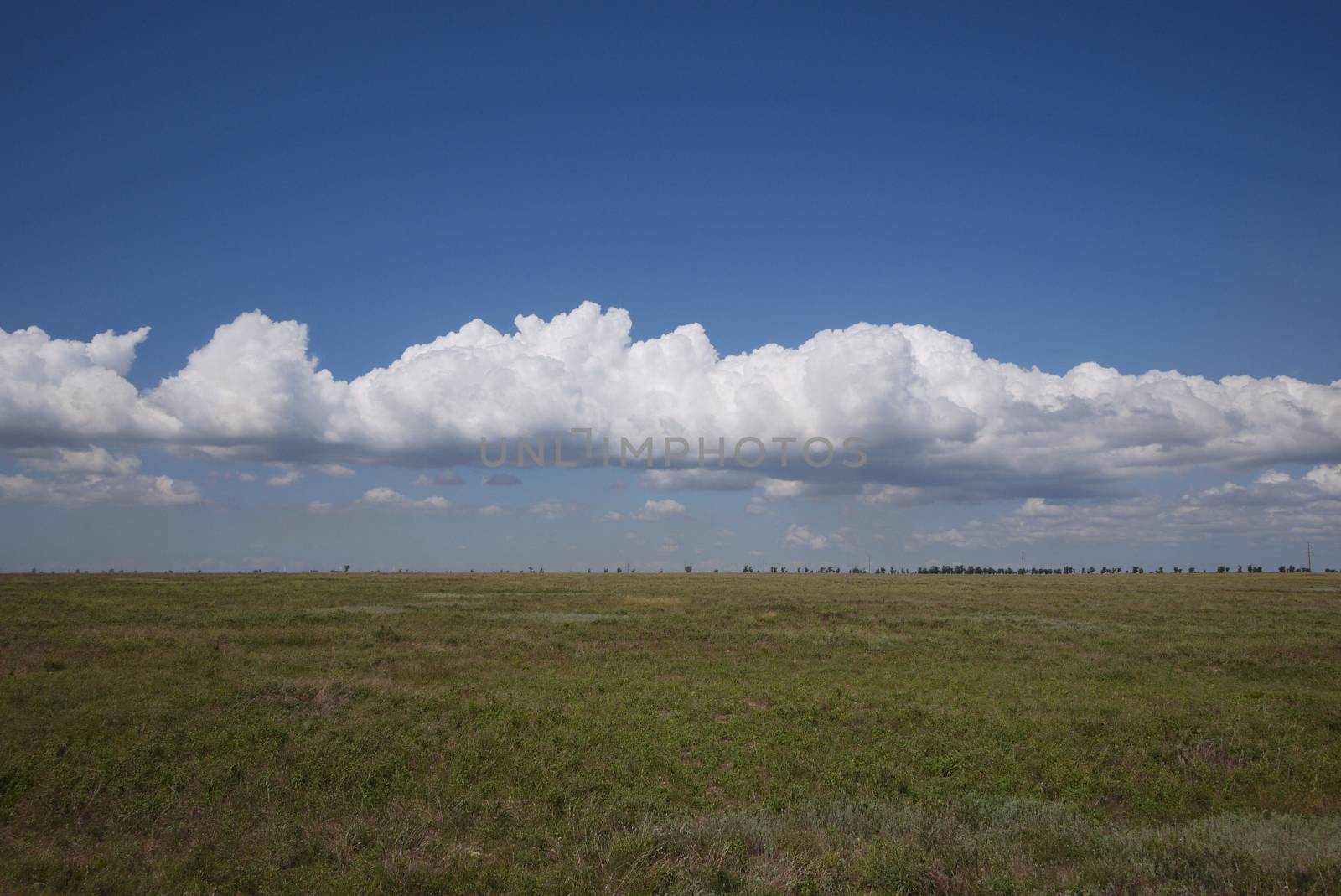 broad endless field under the cloudy blue sky