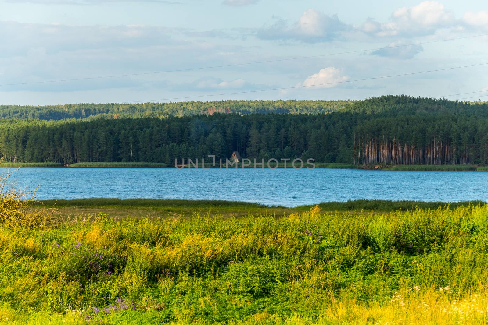 A wide pond on the background of a lonely hut in the middle of a wide dense forest by Adamchuk