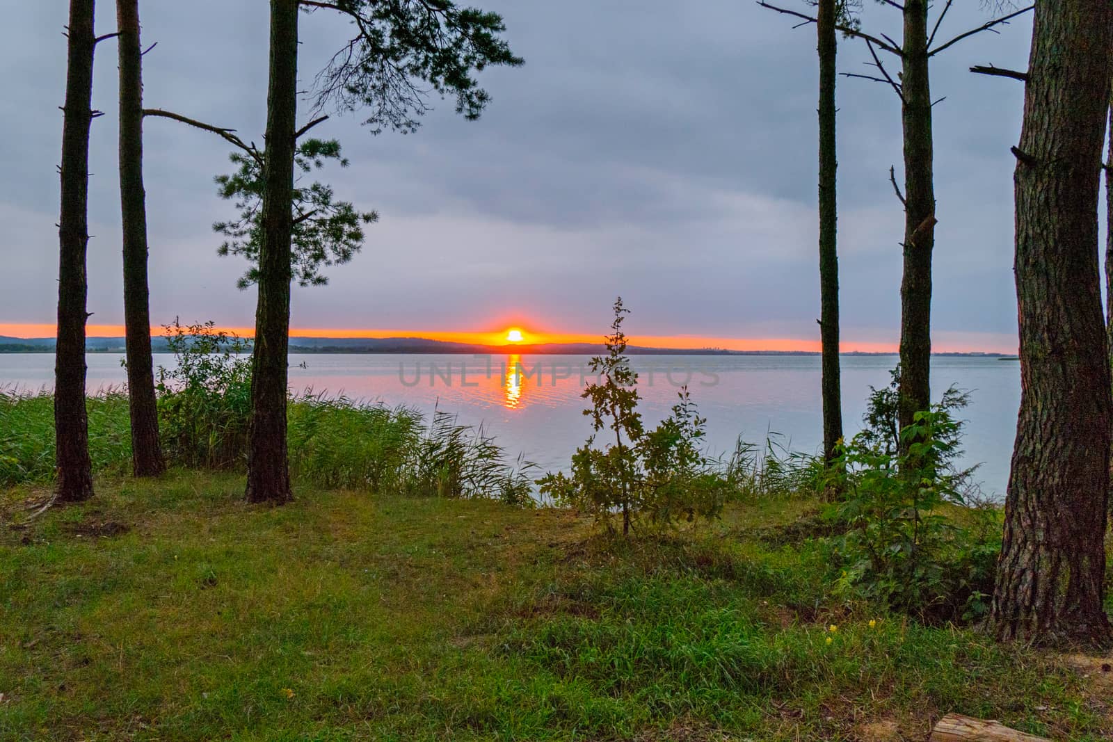 a small grassy lawn on the background of the sea and a beautiful fierce sunset by Adamchuk