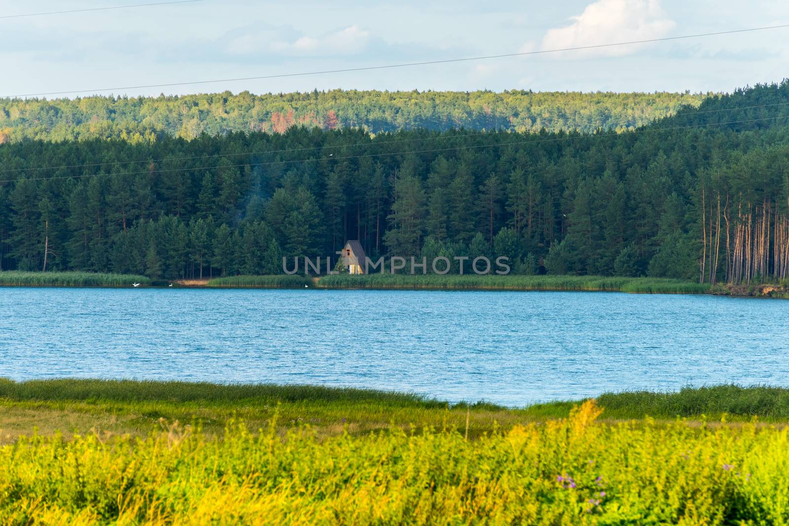 A wide pond on the background of a lonely hut in the middle of a wide dense forest