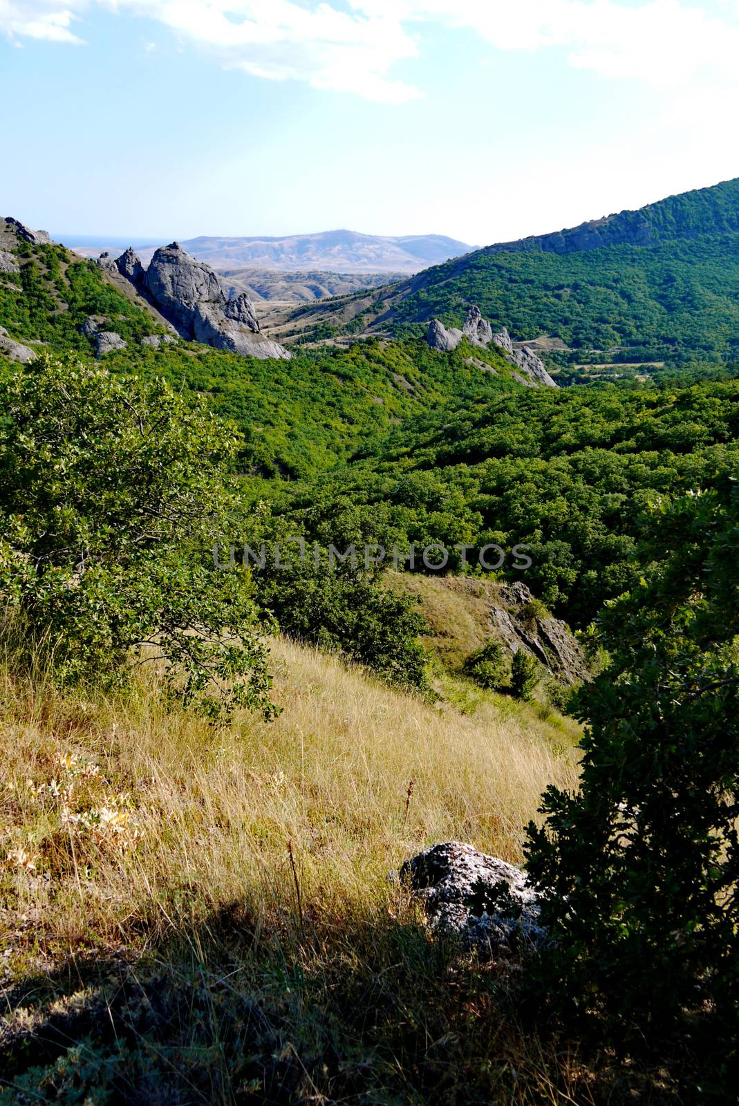 steep grassy slopes on the background of high endless mountains covered with trees