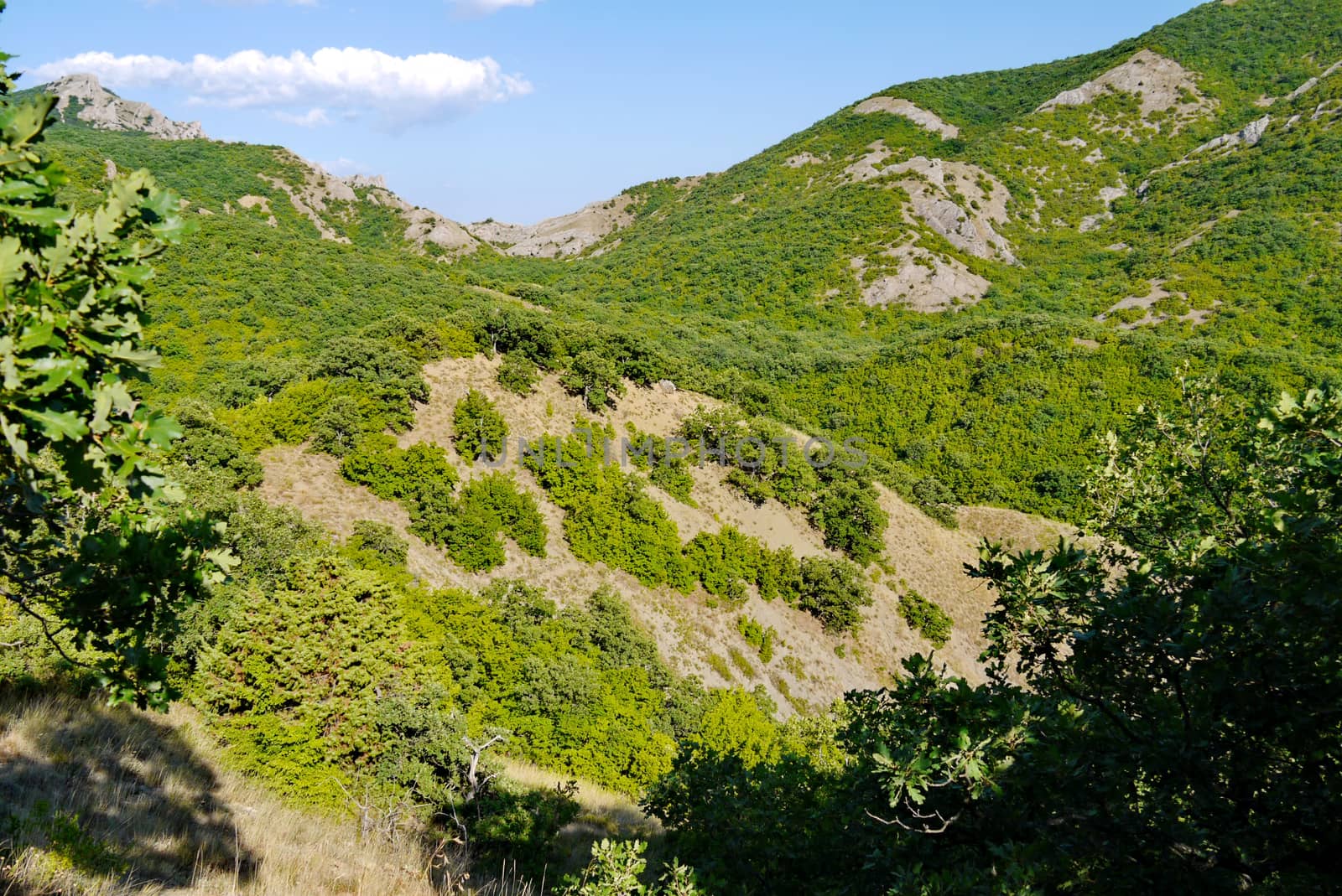 high slopes covered with grass on the blue sky background