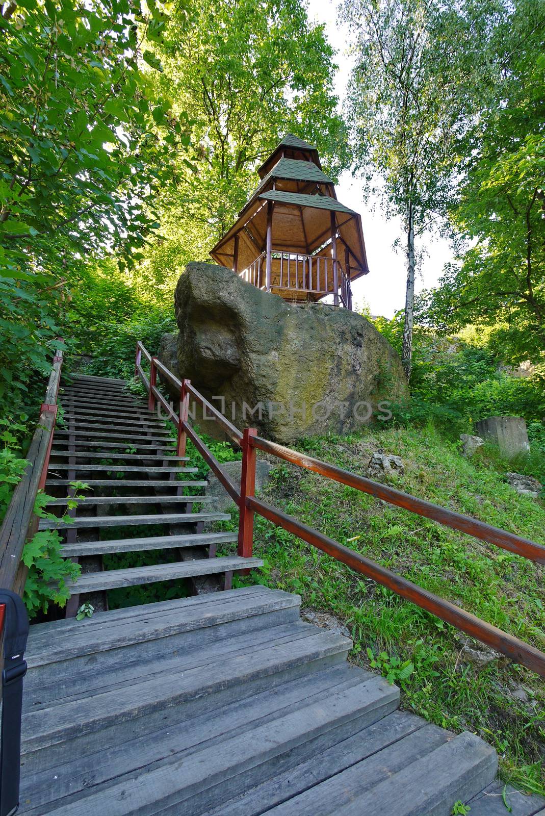 small narrow stairs leading to a gazebo surrounded by tall trees by Adamchuk