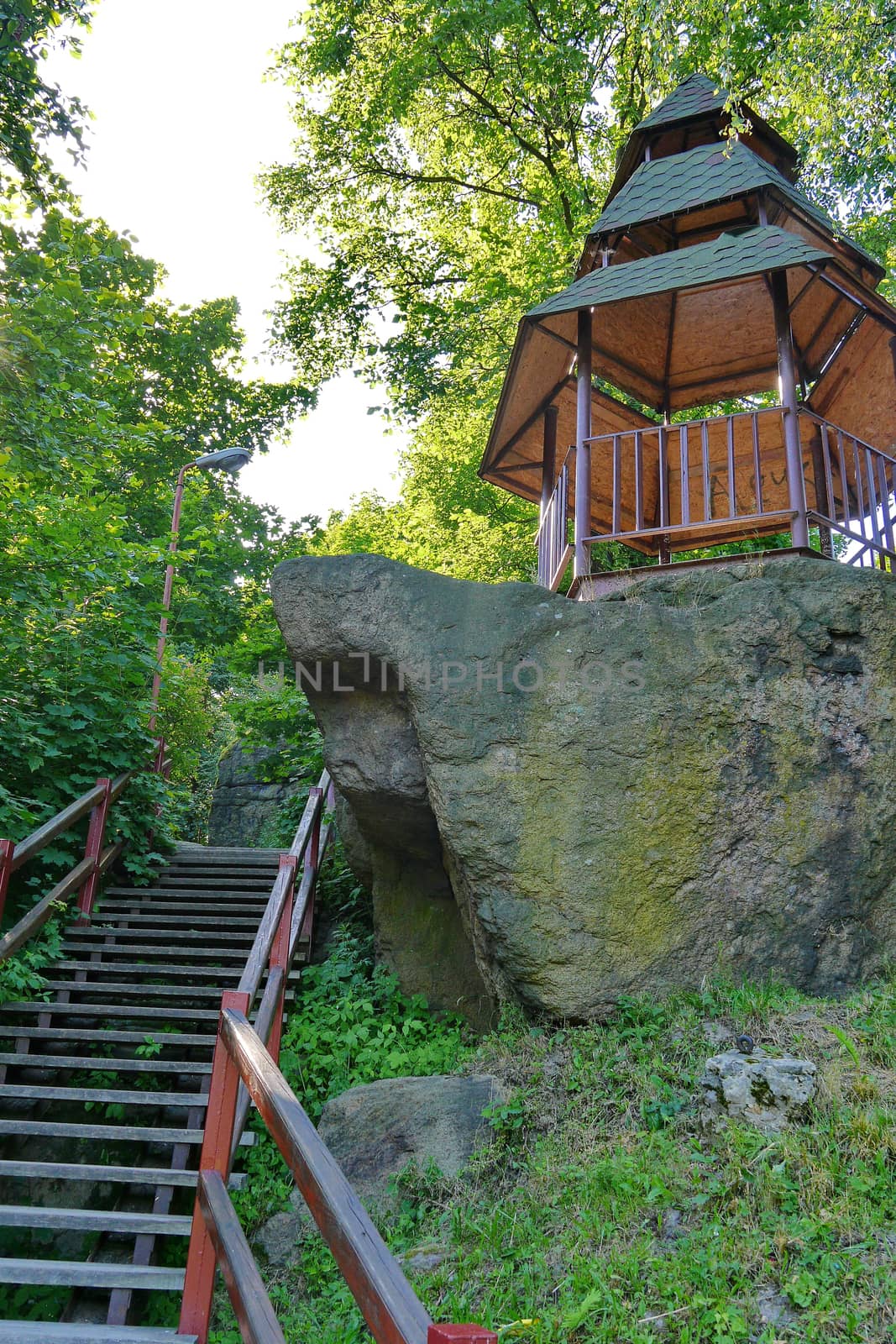 small narrow stairs leading to a gazebo surrounded by tall trees by Adamchuk