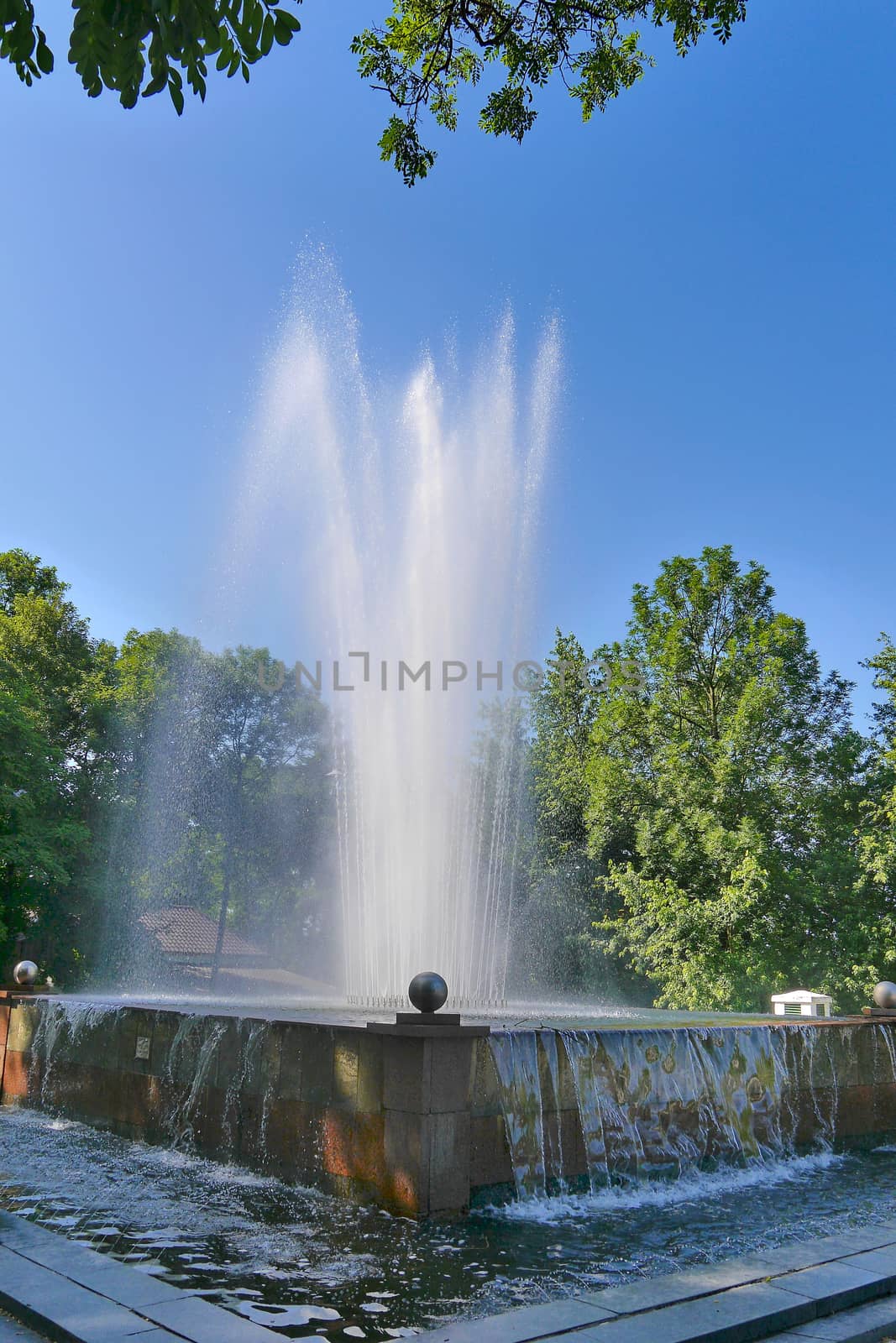 beautiful fountain under a blue sky against the background of tall green trees