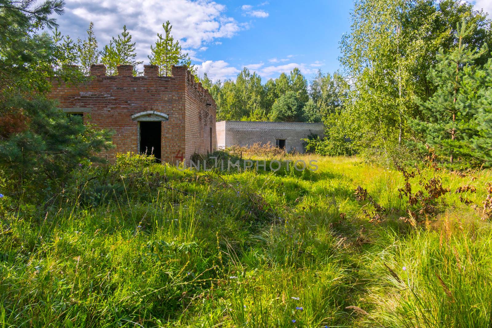 old houses on a forest glade in the middle of a thick forest by Adamchuk