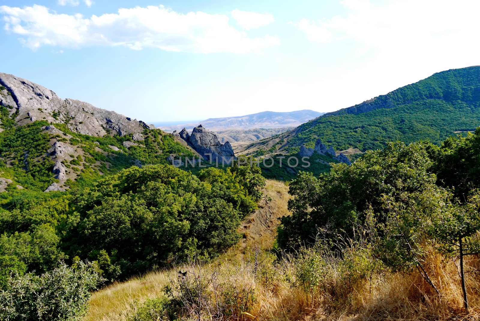 wide green bushes on the background of grass-covered mountains under the blue sky