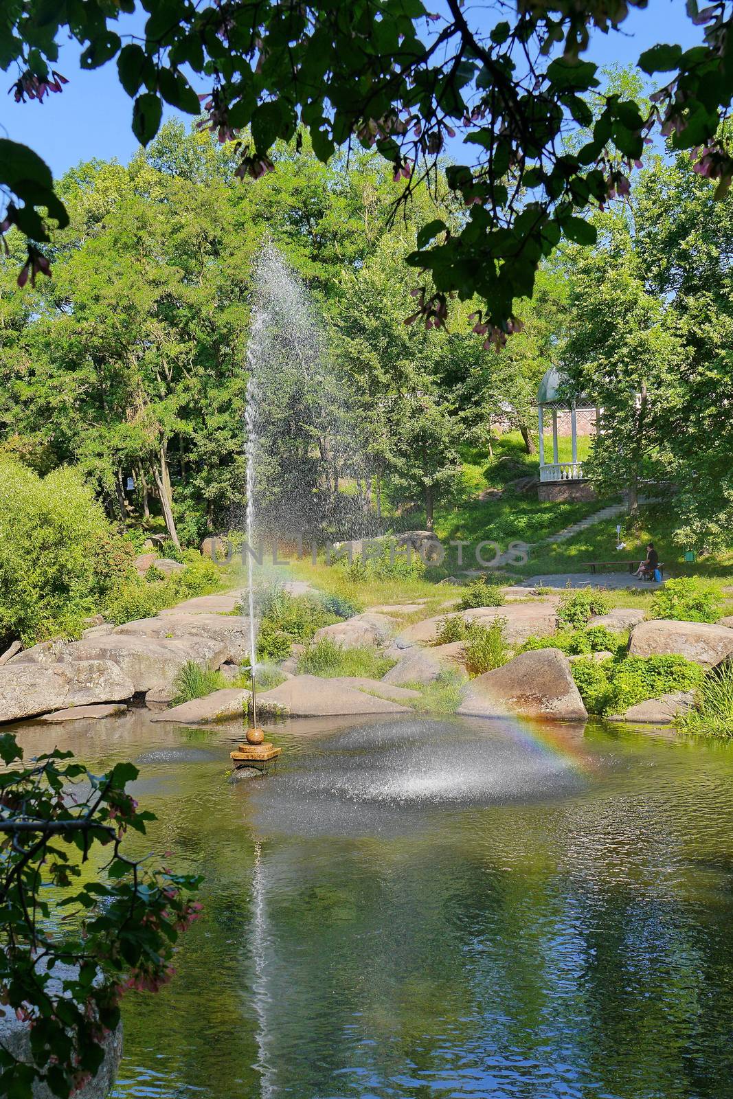 beautiful fountain in the middle of a wide rocky river on the background of dense green trees by Adamchuk