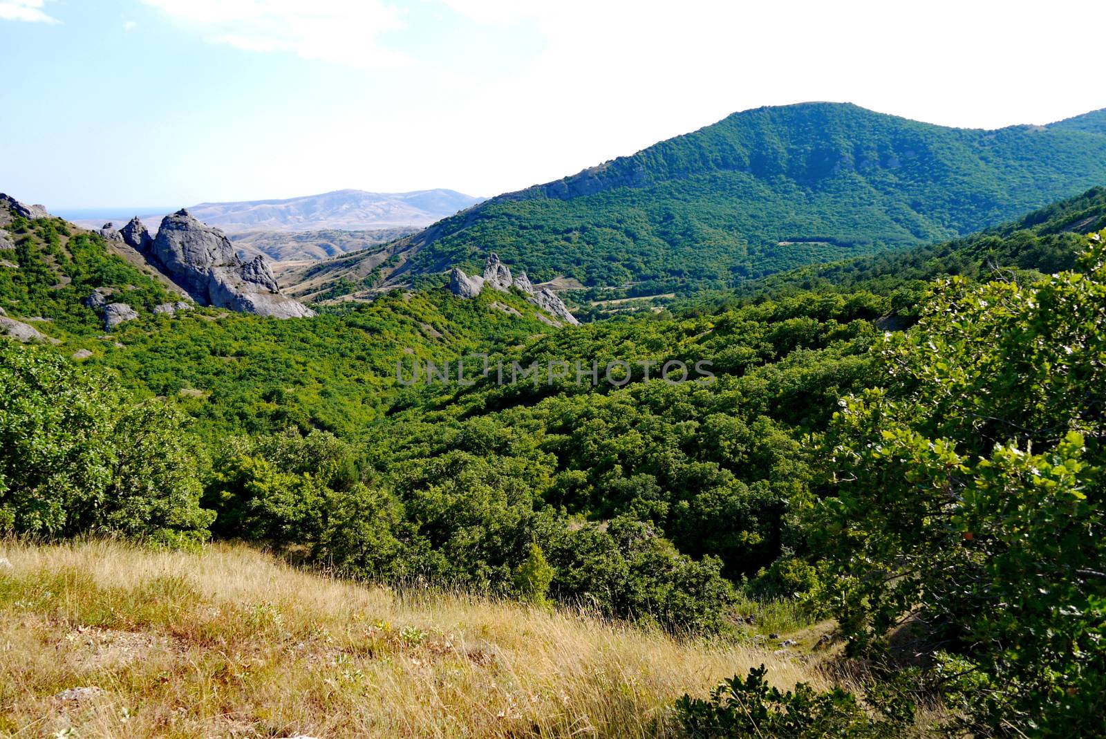 steep grassy slopes on the background of high endless mountains covered with trees