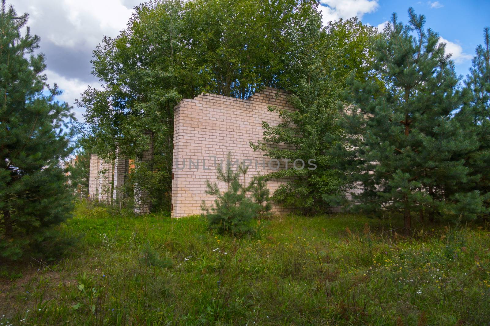 a brick abandoned building in the middle of a forest glade surrounded by dense forest by Adamchuk