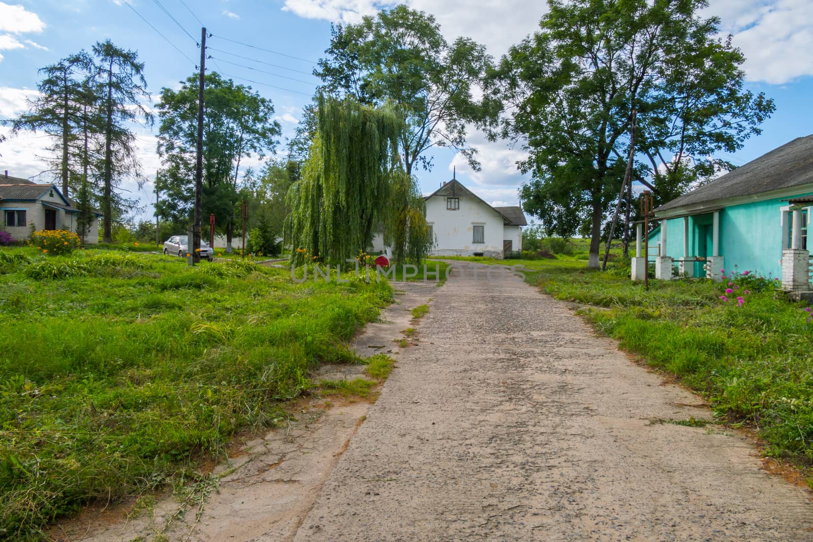 A long wide road is surrounded by grass on the background of abandoned houses and tall, lush trees by Adamchuk
