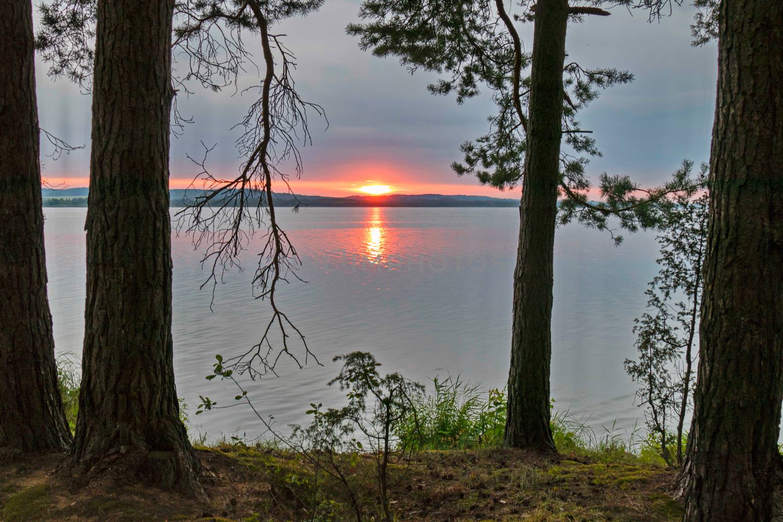 a small grassy lawn on the background of the sea and a beautiful fierce sunset