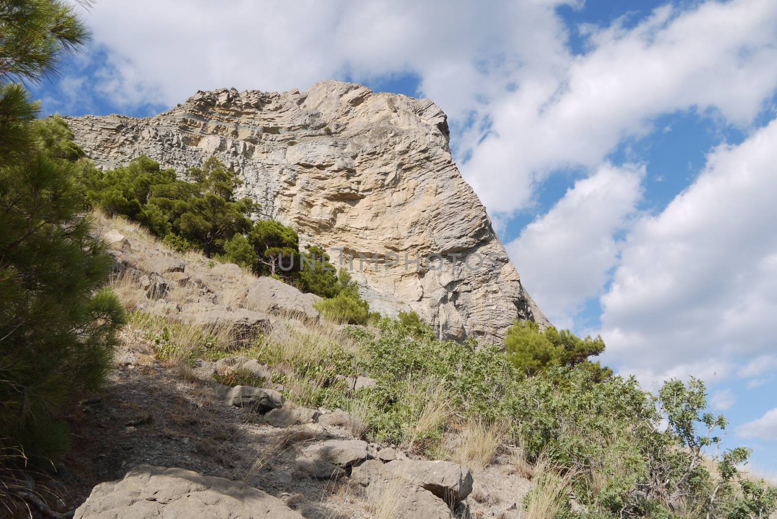 high acute cliff covered with trees on the blue sky background