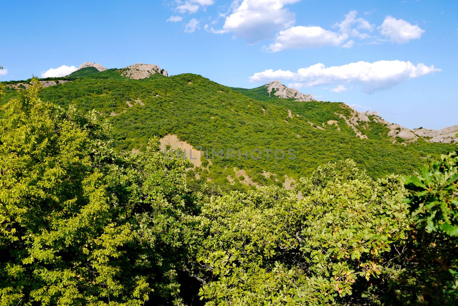 high slopes covered with grass on the blue sky background by Adamchuk