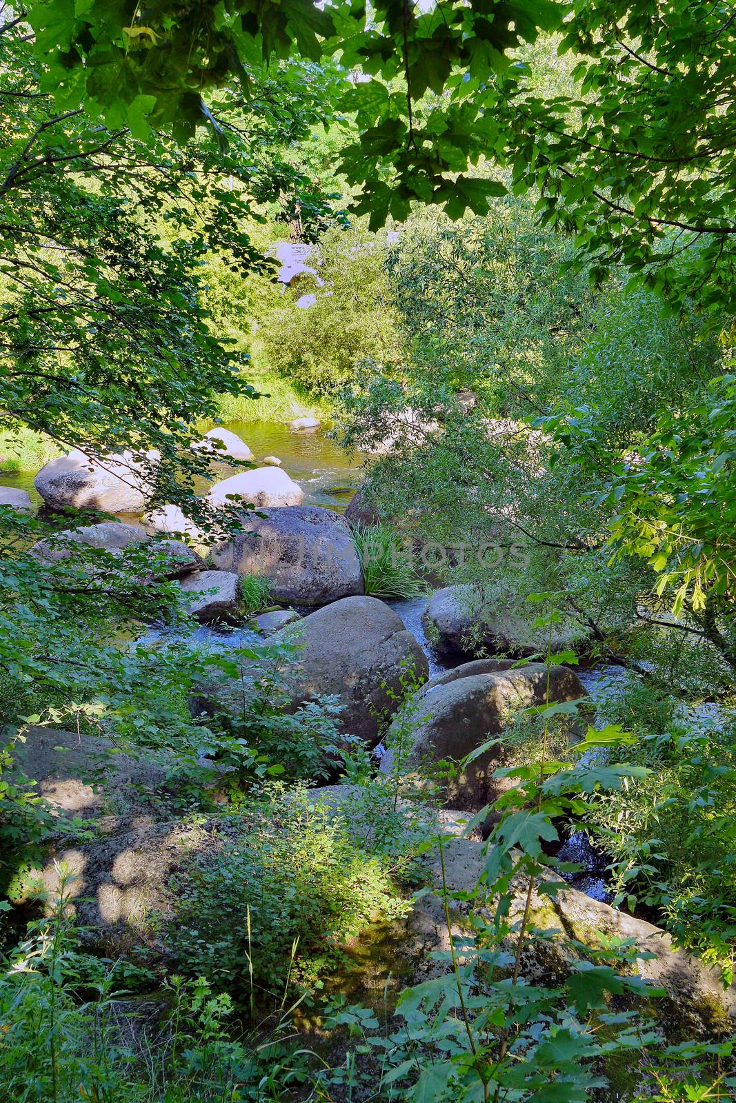 The wide rocky river is surrounded by wide lush bushes and trees