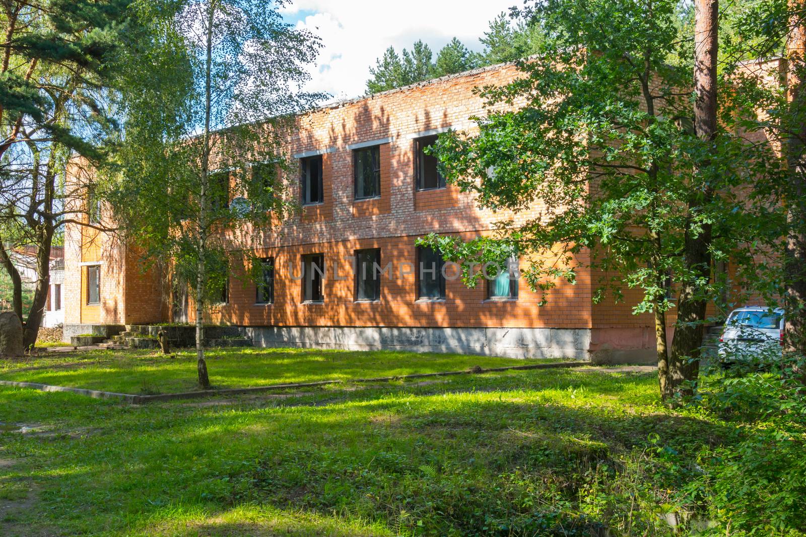 The large abandoned brick building is surrounded by tall, slender trees by Adamchuk