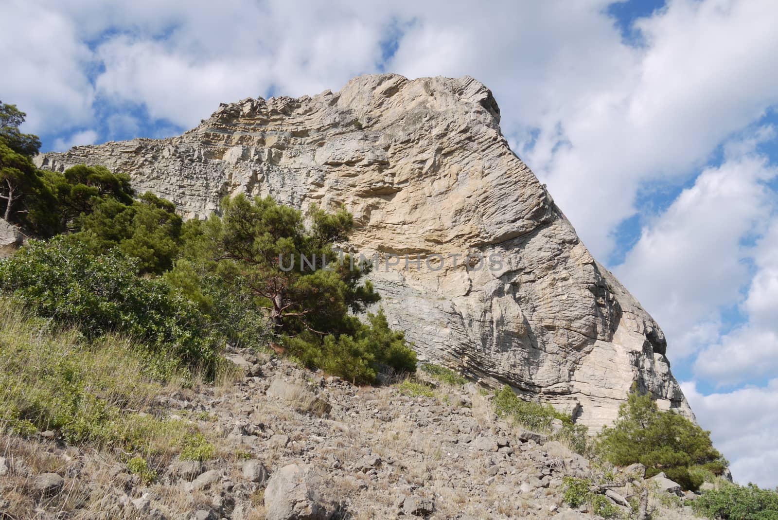 high acute cliff covered with trees on the blue sky background by Adamchuk